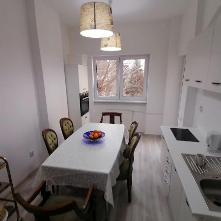 Central Appartment - Heart Of Bucharest - Sector 1 - New Renovated - Open Space Eksteriør billede
