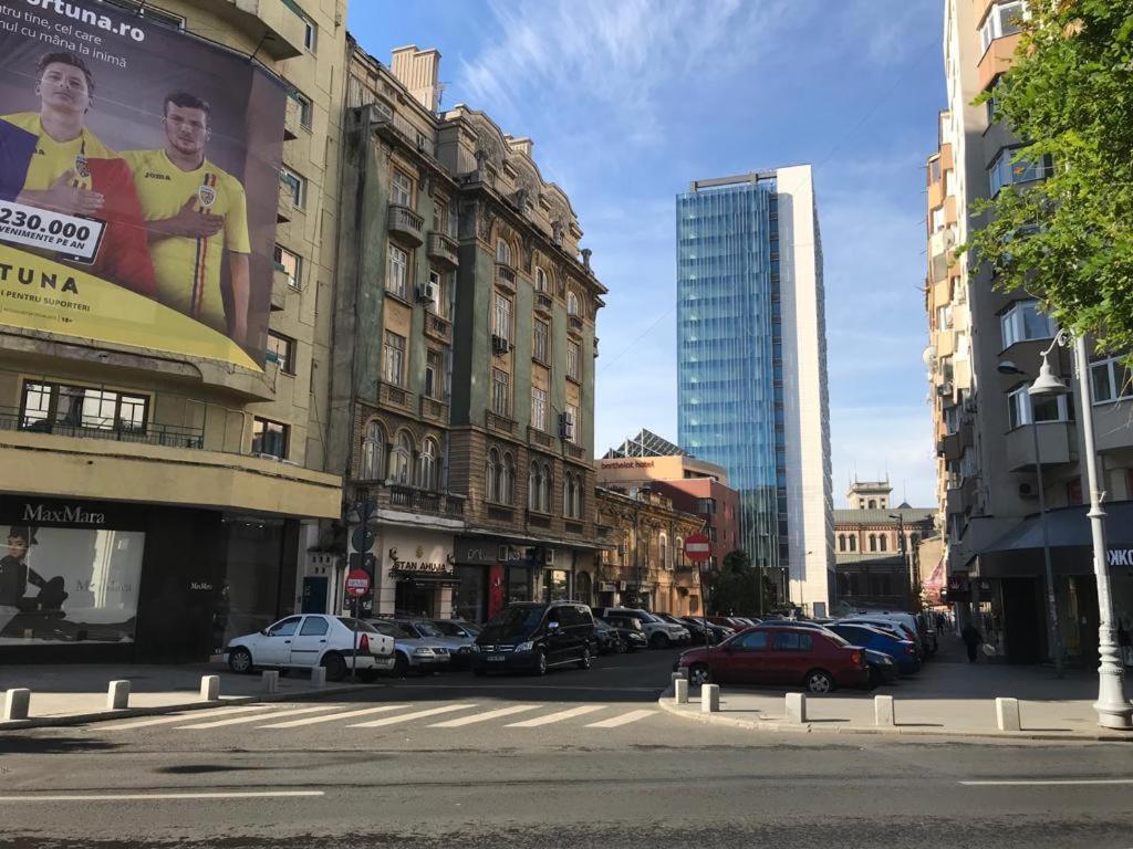 Central Appartment - Heart Of Bucharest - Sector 1 - New Renovated - Open Space Eksteriør billede