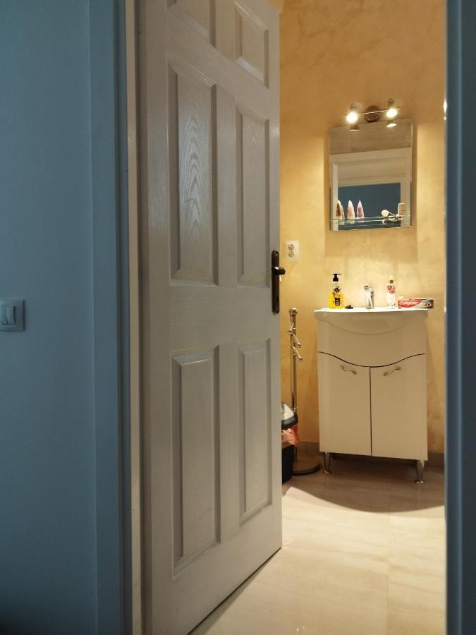 Central Appartment - Heart Of Bucharest - Sector 1 - New Renovated - Open Space Eksteriør billede